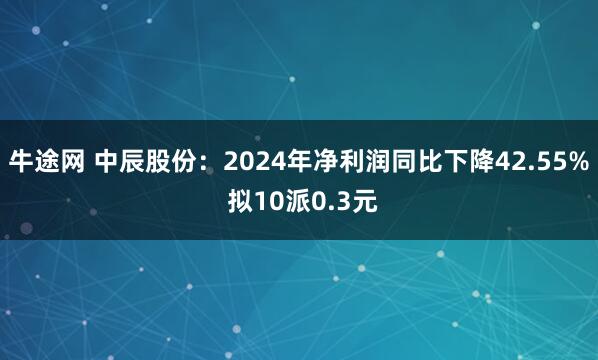 牛途网 中辰股份：2024年净利润同比下降42.55% 拟10派0.3元