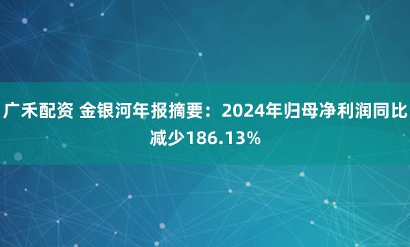 广禾配资 金银河年报摘要：2024年归母净利润同比减少186.13%