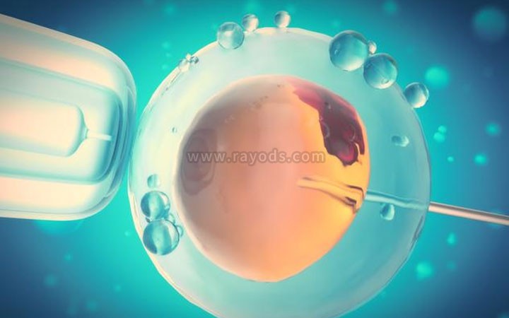 你知道在试管婴儿胚胎移植后接近植入的这段时间里，胚胎经历了什么吗？