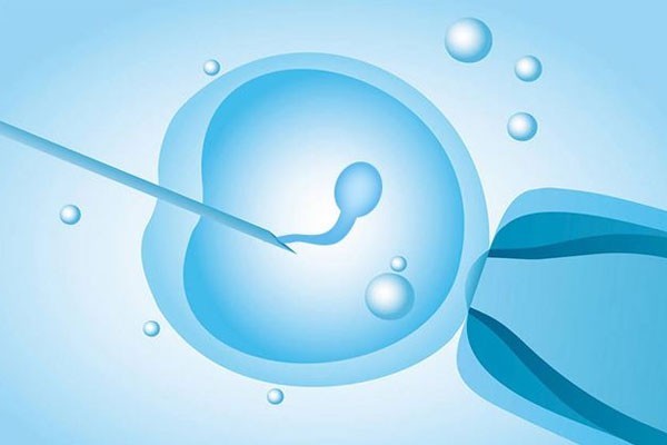 试管婴儿移植后长期便秘会影响胚胎植入吗？