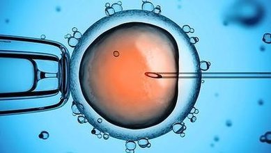 试管婴儿胚胎冷冻的费用是多少？