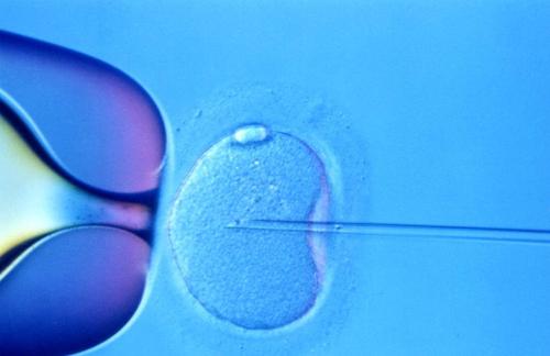 深圳借卵流程
：宫外孕导致双侧输卵管堵塞，试管婴儿助孕成龙凤胎