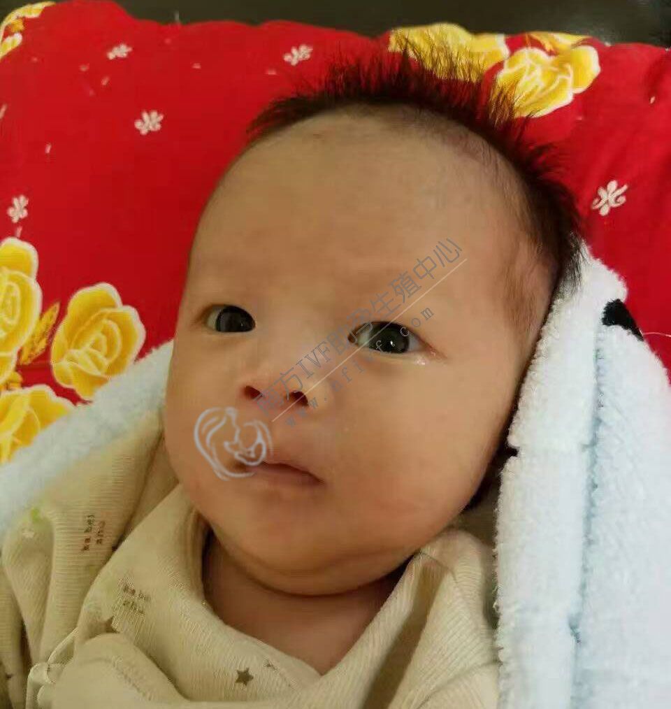 深圳50岁助孕成功率-在上海和深圳做了5次失败的试管婴儿移植，但在华南地区海外做了一次成功的试管婴儿。