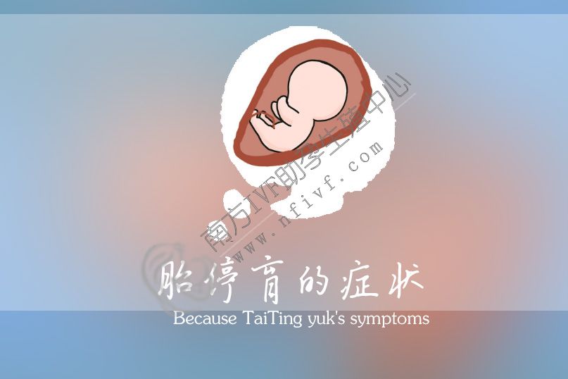 深圳龙凤胎助孕产子成功率:胎儿流产的症状是什么？