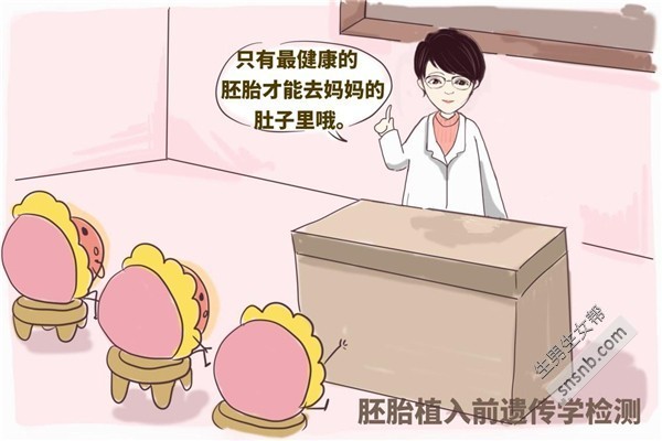 在深圳做试管婴儿的成功率高吗？究竟什么是试管婴儿技术？