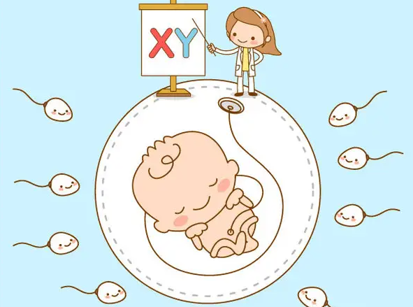 当你怀上儿子时，验孕棒是如何显示颜色的？如何准备怀孕生下一个儿子