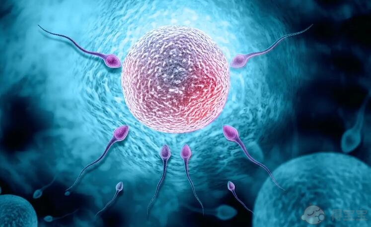 我可以生出有染色体缺陷的婴儿吗？是的，染色体问题需要三代体外受精。