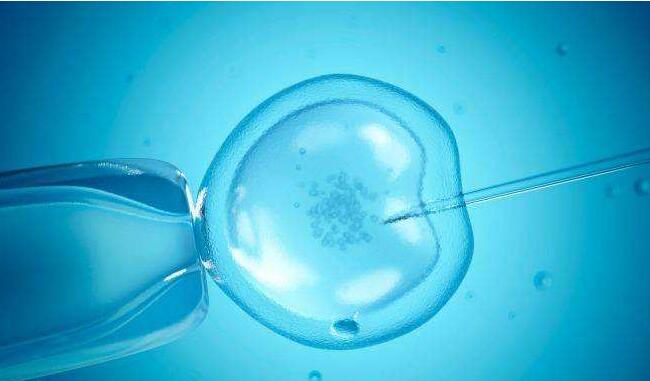 试管婴儿是在体内还是在体外受精？