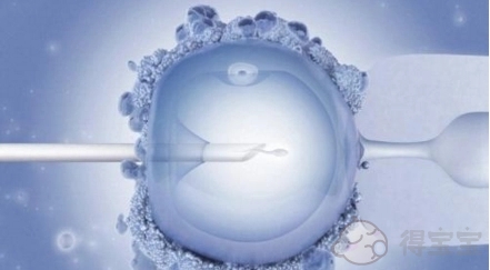 廊坊供卵试管助孕包成功多少钱-2022年GMC3三期的试管婴儿价格是多少？试管婴儿价格已经公布了!