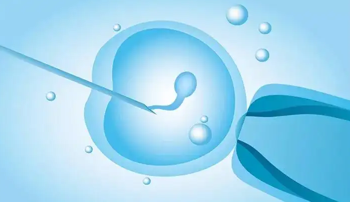 北京供卵助孕费用：2023年北京试管婴儿周期的费用是多少？