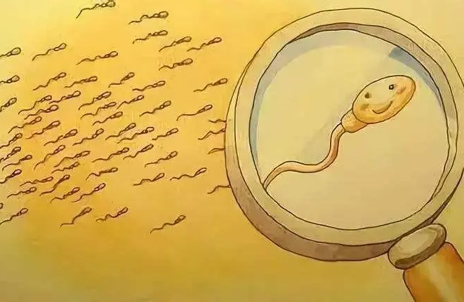 襄阳供卵助孕生子流程：2022年武汉协和供精试管婴儿流程及费用! 你需要捐献精子吗？