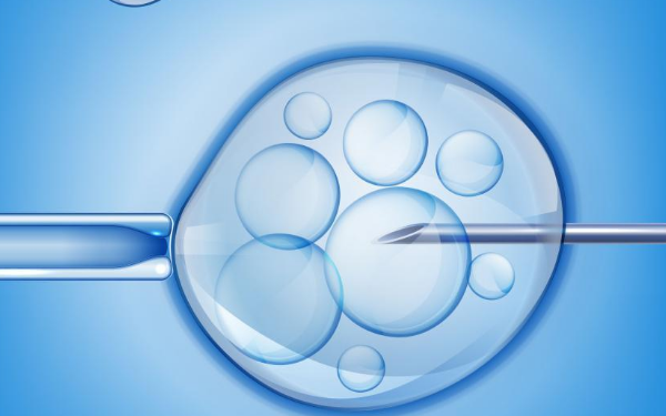 中山供卵中介自怀-试管婴儿治疗中的自然周期和药物排卵选择。