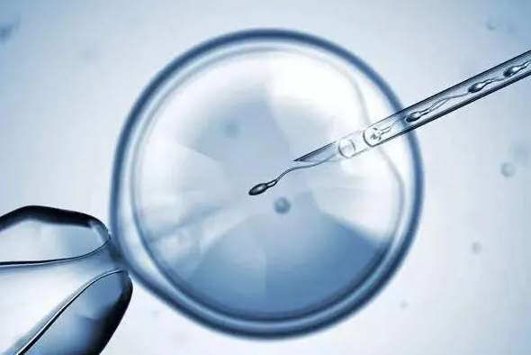 乌鲁木齐供卵助孕收费标准-试管婴儿胚胎移植的费用是多少？移植多少个胚胎的成功率最高？