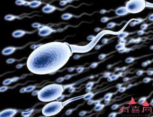合肥助孕机构30万起-在精子数量少和弱精症的情况下，有什么办法可以怀孕？